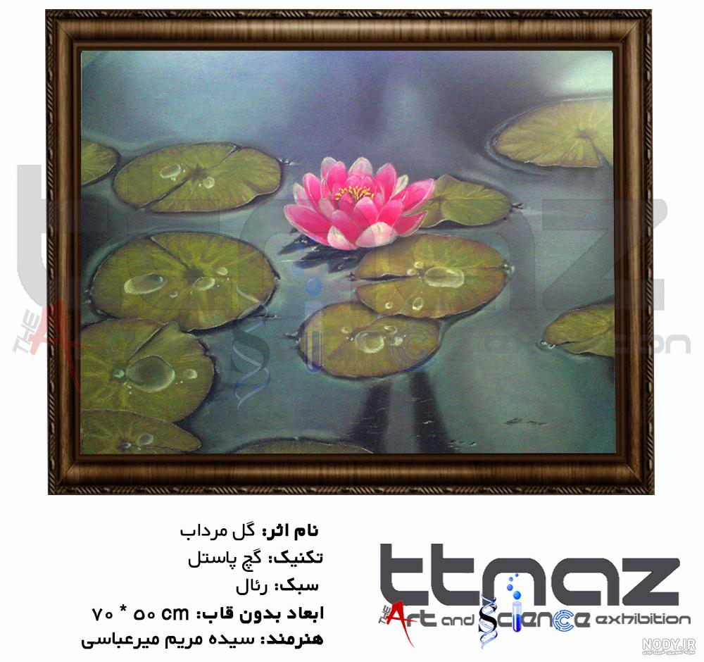 نقاشی گل مرداب نقاشی گل مرداب