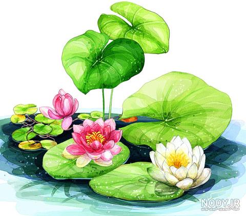 نقاشی گل مرداب کودکانه نقاشی گل مرداب کودکانه