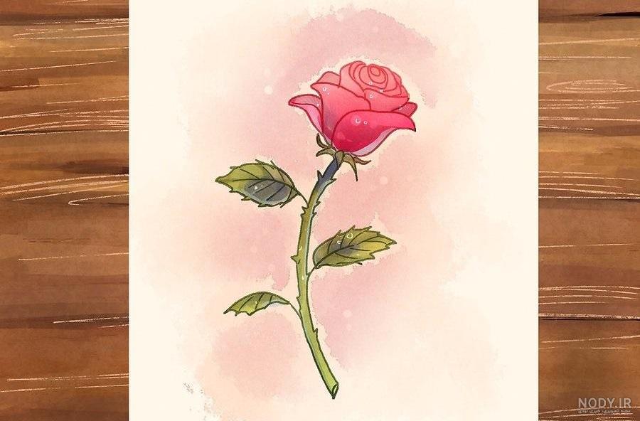 نقاشی گل نرگس نقاشی گل نرگس