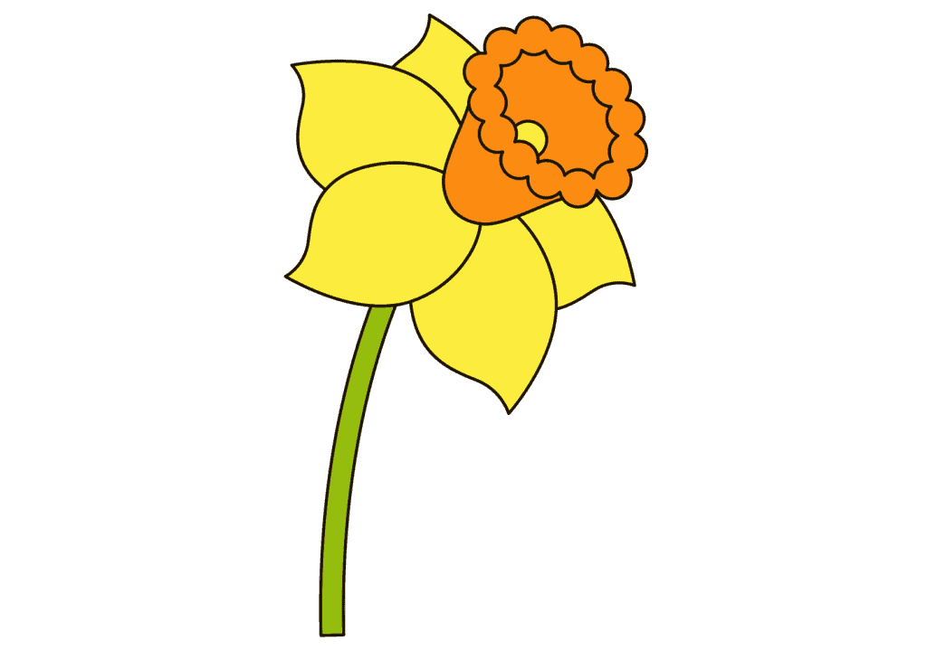 نقاشی گل نرگس
