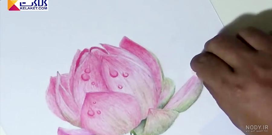 نقاشی گل نیلوفر مرداب کودکانه نقاشی گل نیلوفر مرداب کودکانه