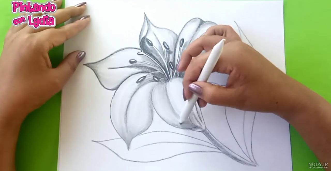 نقاشی گل های مختلف نقاشی گل های مختلف