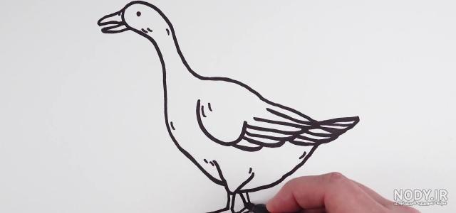 رنگ غاز در نقاشی رنگ غاز در نقاشی