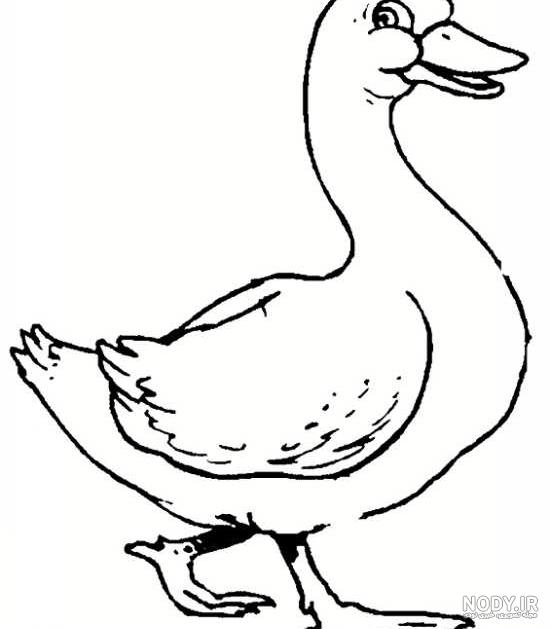 طراحی غاز طراحی غاز