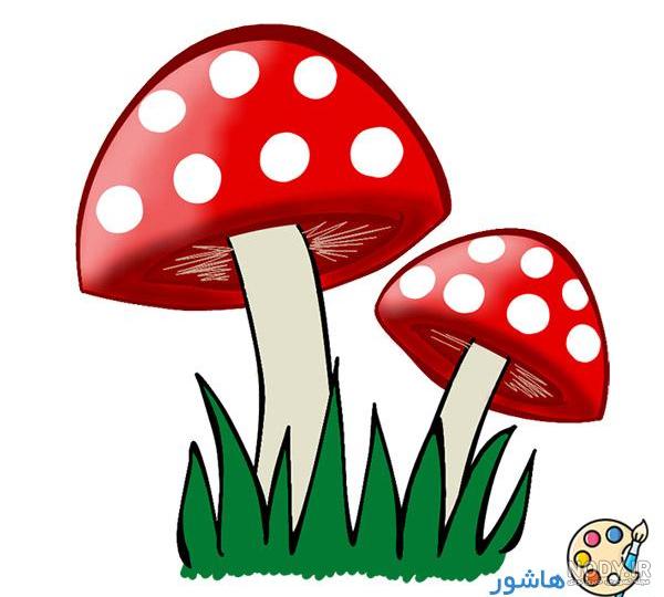 نقاشی قارچ نقاشی قارچ