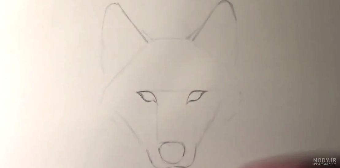 نقاشی گرگ وحشی با مداد