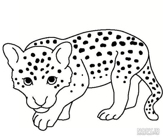 نقاشی یوزپلنگ واقعی نقاشی یوزپلنگ واقعی