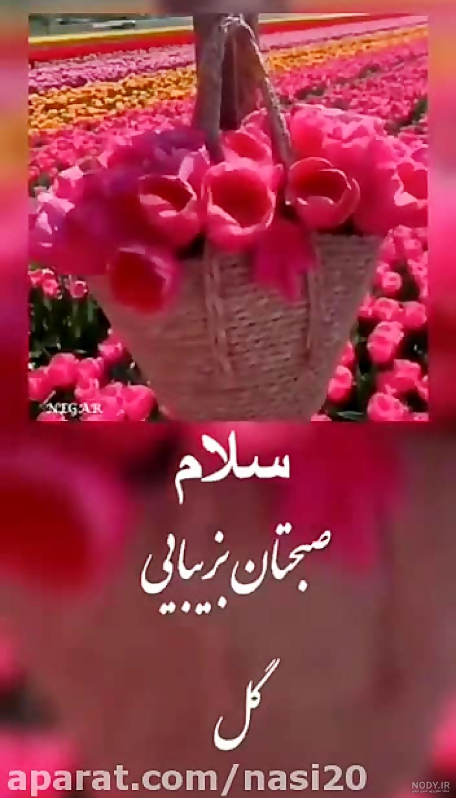 استوری سلام صبح بخیر استوری سلام صبح بخیر