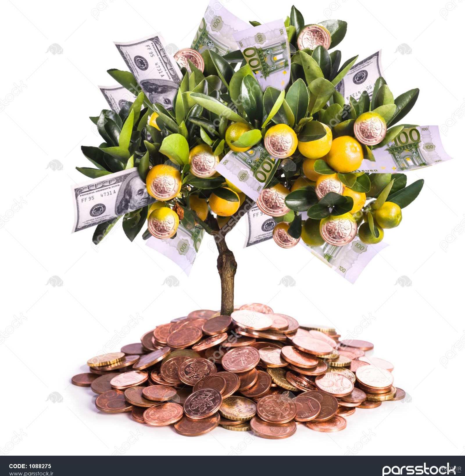 جملات انگیزشی موفقیت در زندگی