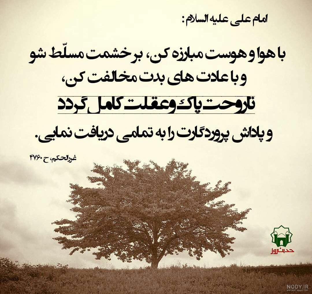 ریکاوری صددرصد عکس ریکاوری صددرصد عکس