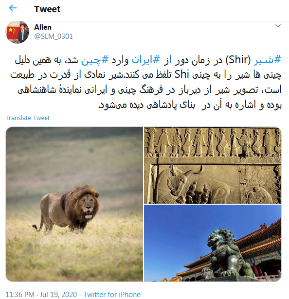 عکس شیر چینی عکس شیر چینی