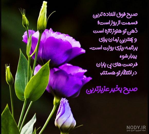 عکس صبح بخیر عکس صبح بخیر