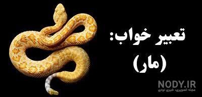 عکس مار زنگی