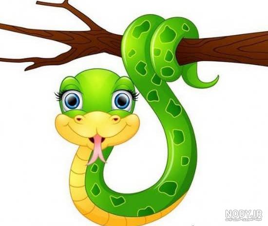 عکس مارمولک کارتونی