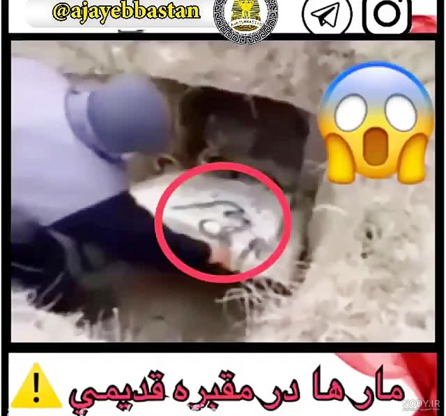 زیرخاکی طلا زیرخاکی طلا