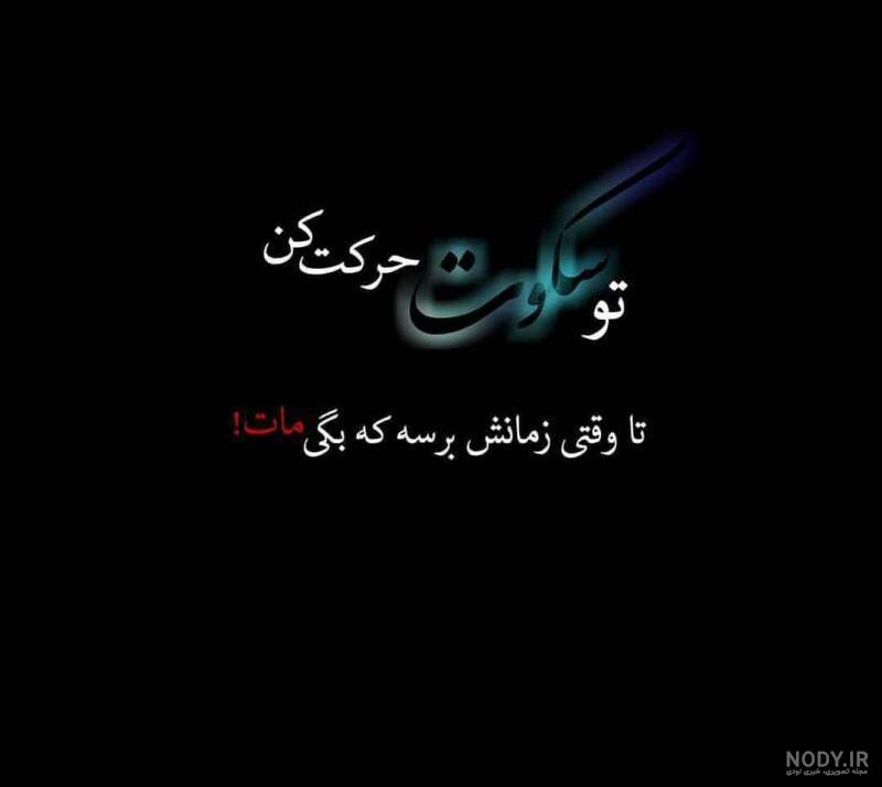 سکوت عکس