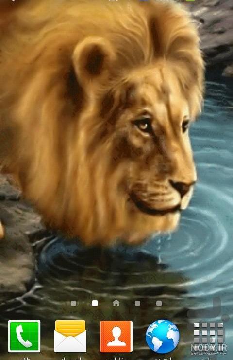 عکس سلطان جنگل برای تصویر زمینه