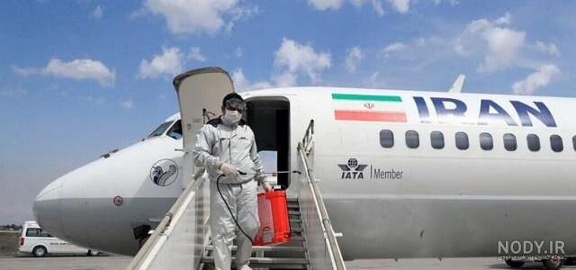 عکس مار کبرا شاخدار عکس مار کبرا شاخدار