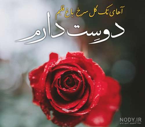 عکس نوشته دوست داشتن یعنی