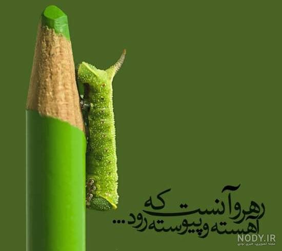 عکس پروفایل هدفمند عکس پروفایل هدفمند