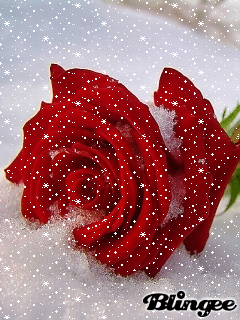 تصویر زمینه زنده تصویر زمینه زنده