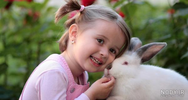 عکس خرگوش رنگی
