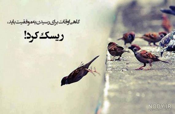 عکس نوشته ورزش