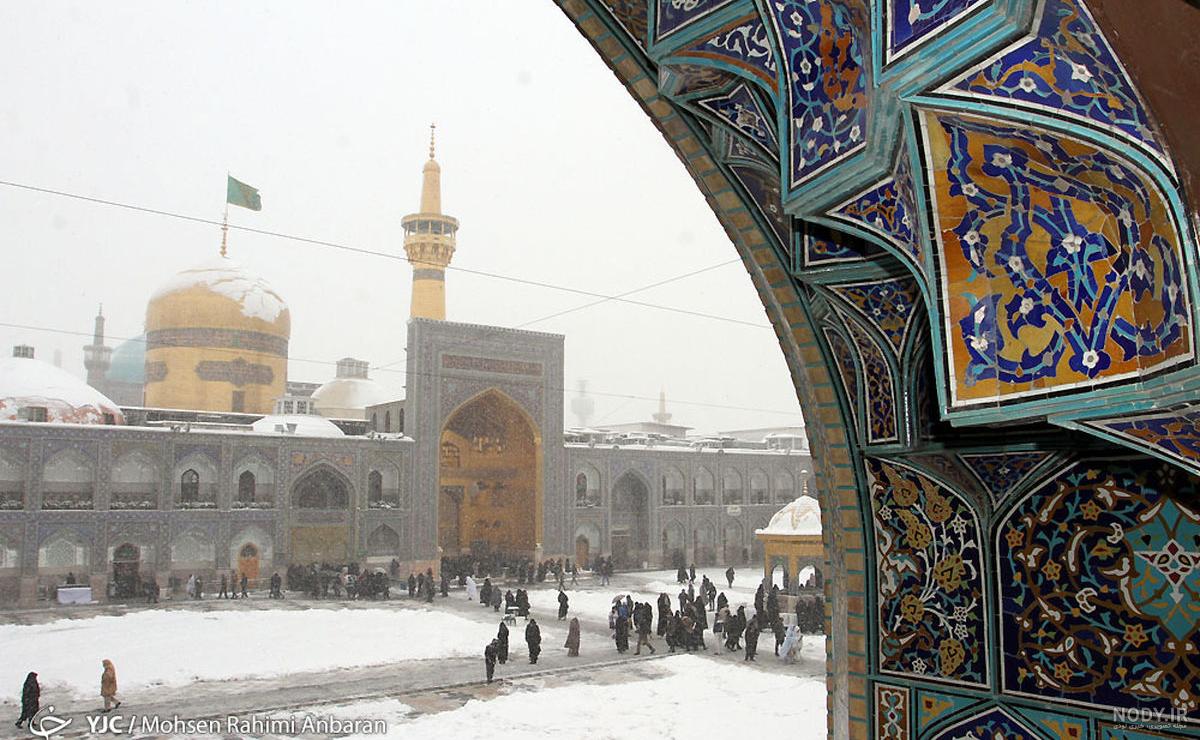 عکس های جدید امیر مقاره در کانادا