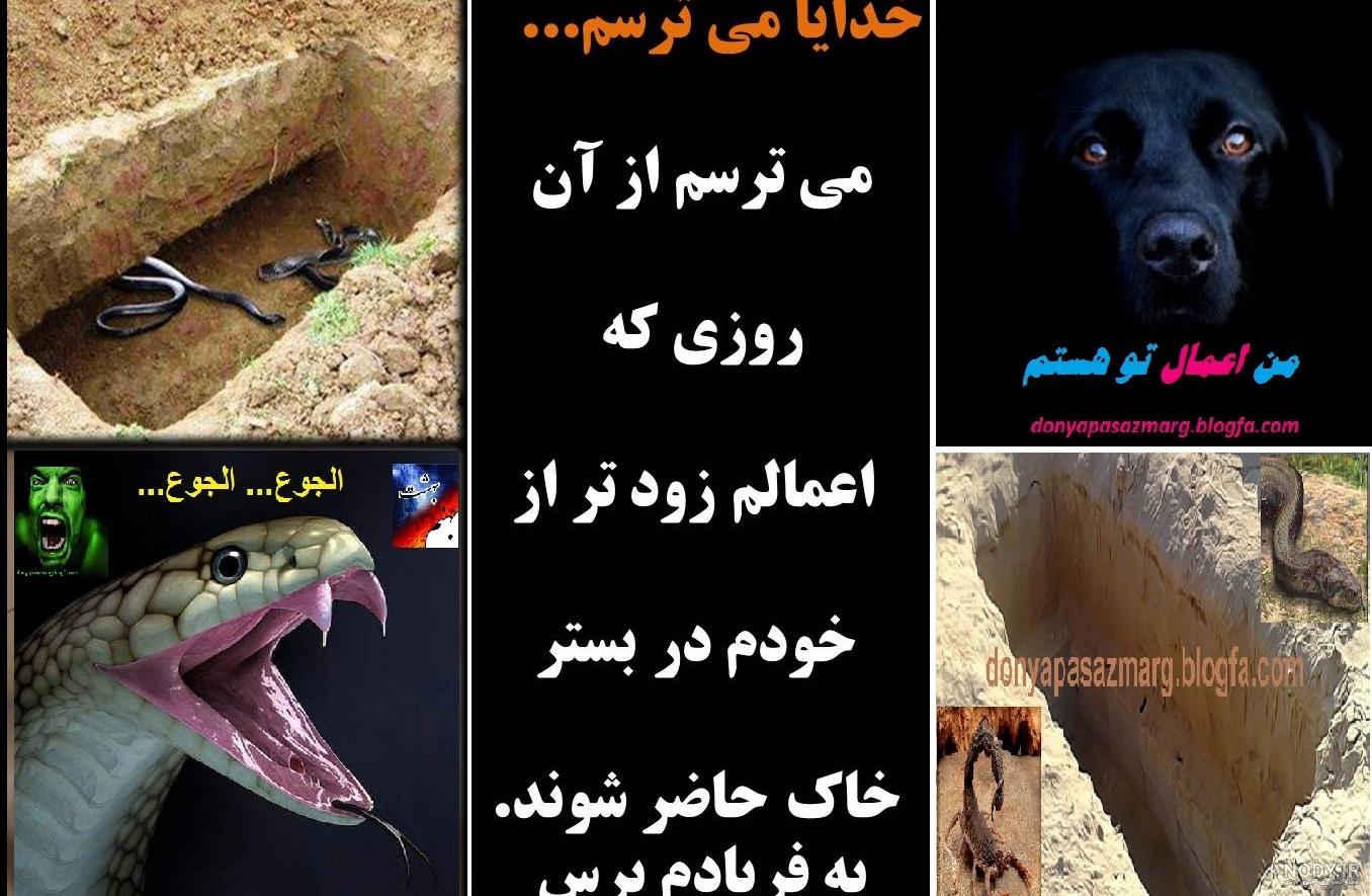 مار در قبر گبری