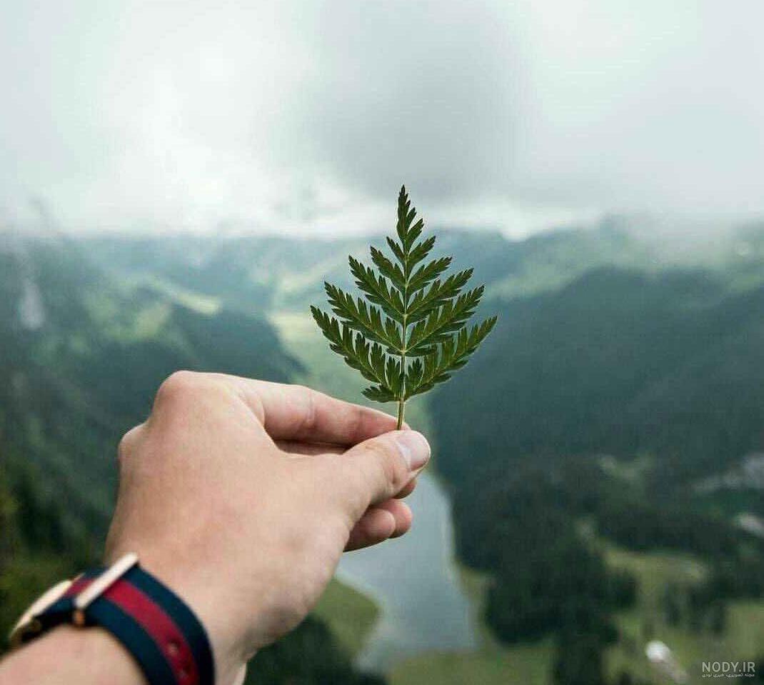 متن زیبا بدون عکس