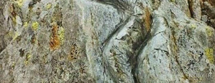 نماد مار در روانشناسی نماد مار در روانشناسی