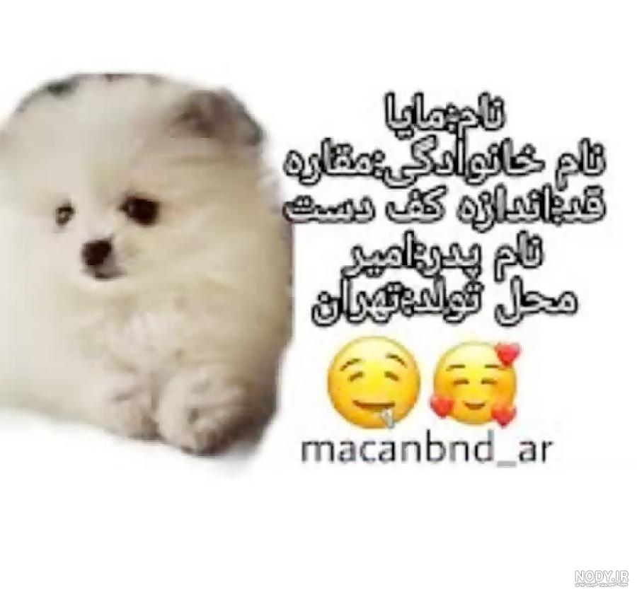 اسم سگ امیر مقاره اسم سگ امیر مقاره
