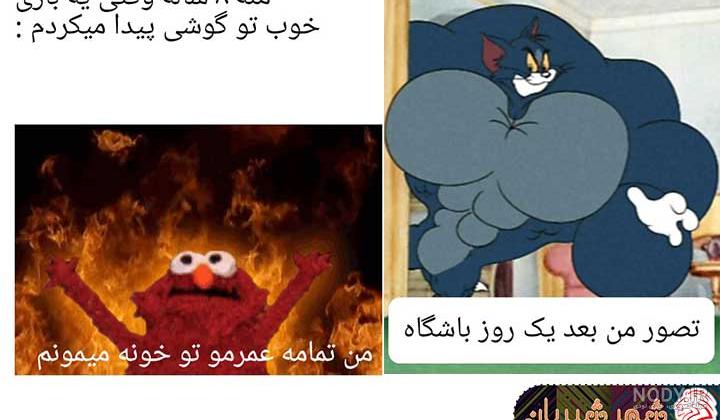 عکس خام میم ها عکس خام میم ها