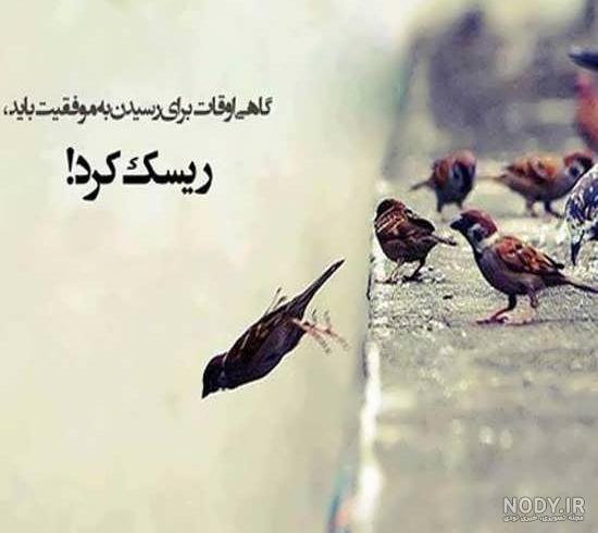 عکس نوشته موفقیت در درس