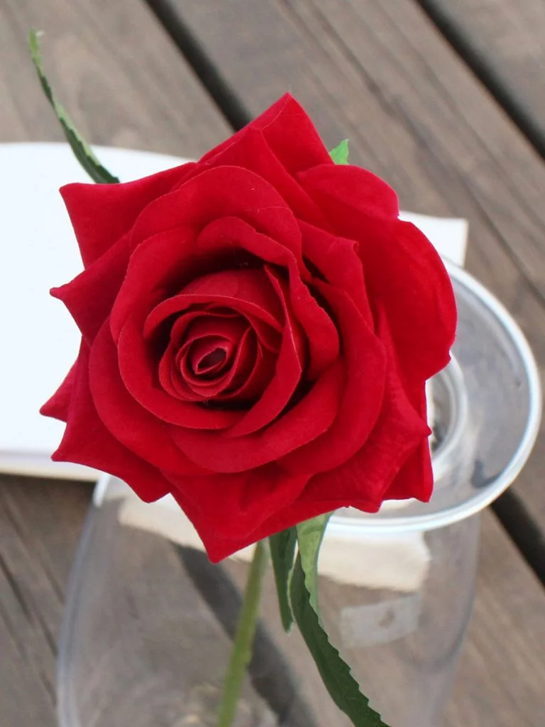 عکس گل برای پروفایل شاد
