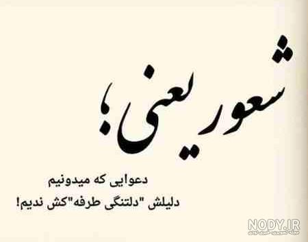 نوشته فهم و شعور نوشته فهم و شعور