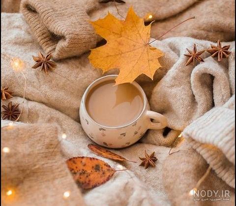 زیباترین عکس پاییزی دنیا زیباترین عکس پاییزی دنیا