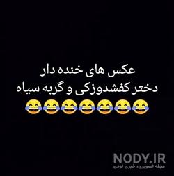 عکس دختر کفشدوزکی و گربه ی سیاه قسمت اخر عکس دختر کفشدوزکی و گربه ی سیاه قسمت اخر