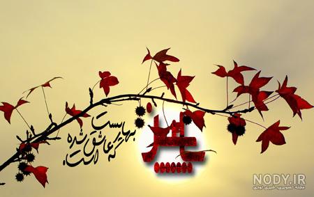 عکس پاییزی