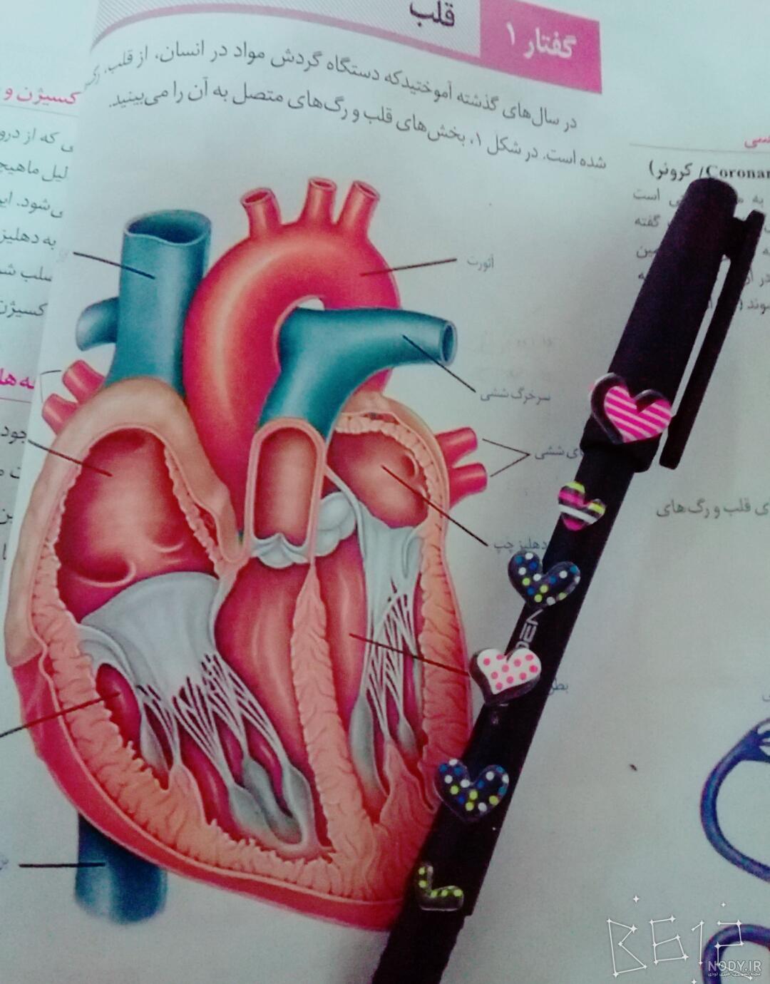 عکس کتاب برای پروفایل دخترونه