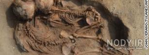 فسیل انسان 600 میلیون ساله فسیل انسان 600 میلیون ساله