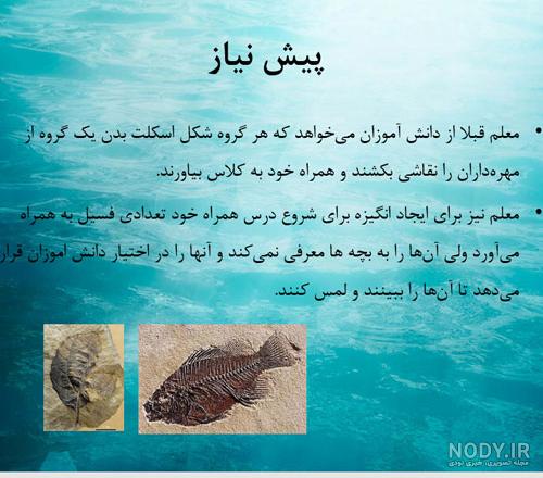 فسیل چیست علوم پنجم با جواب