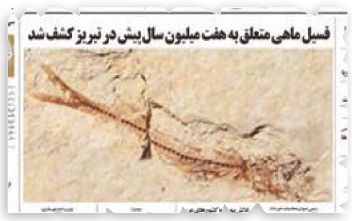مراحل تشکیل فسیل را نام ببرید کلاس پنجم