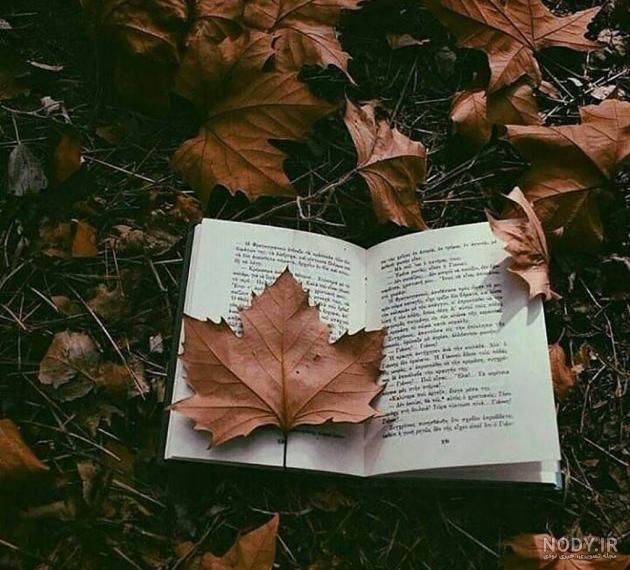 پروفایل پاییزی لاکچری پروفایل پاییزی لاکچری
