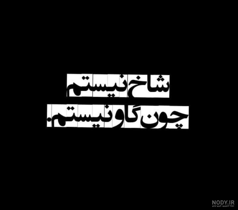 عکس شاخ برای واتساپ عکس شاخ برای واتساپ