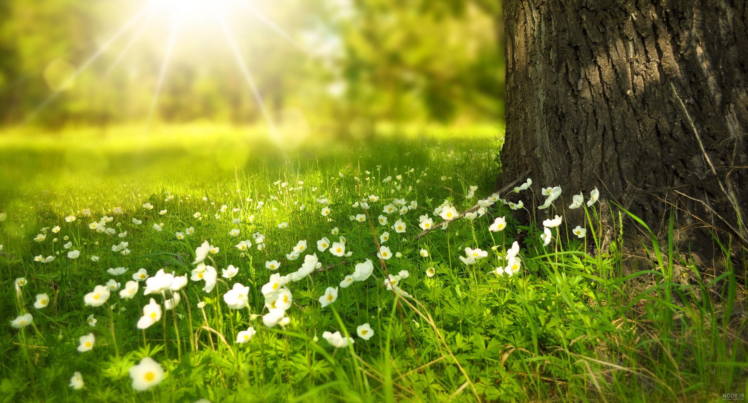 عکس مذهبی طبیعت