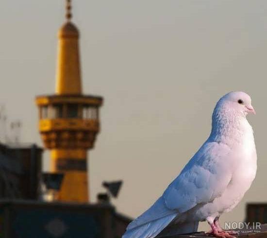 عکس پروفایل مذهبی پسرانه