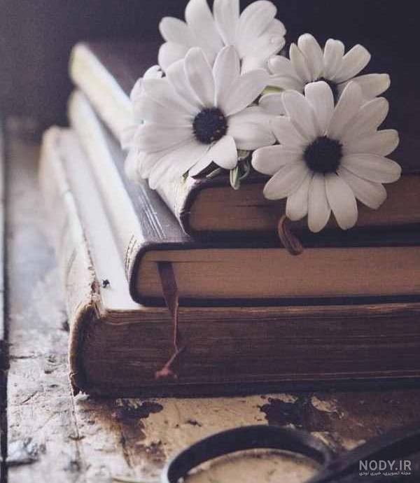 عکس کتاب برای پروفایل شاد دخترونه عکس کتاب برای پروفایل شاد دخترونه