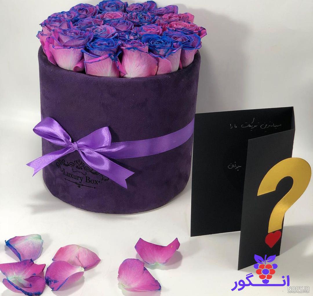عکس گل رز زرشکی