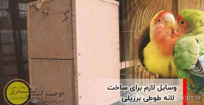 پرنده خانگی بی صدا